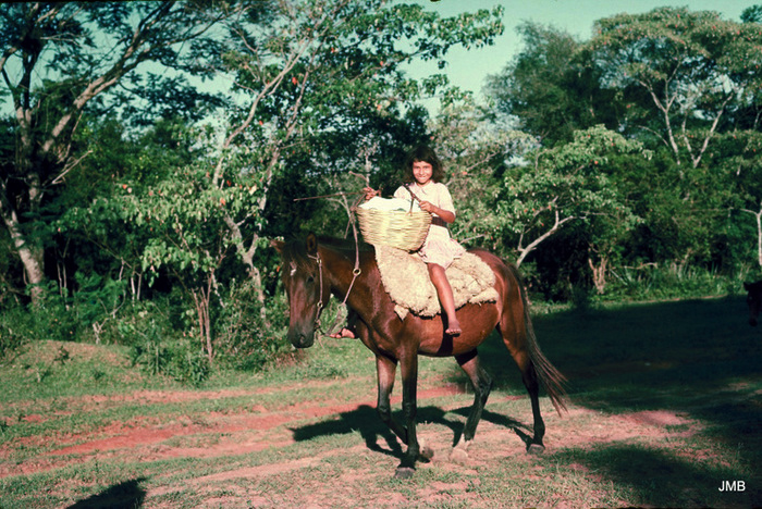 AÑO 1977 - COLOR - VIDA CAMPESINA EN PARAGUAY (JOSÉ MARÍA BLANCH)